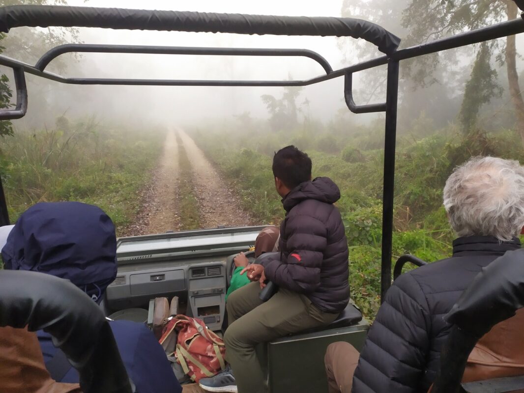 Jeepsafari Chitwan National Park