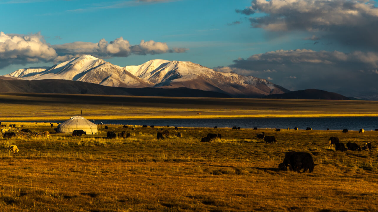 Tolboo meer Mongolie