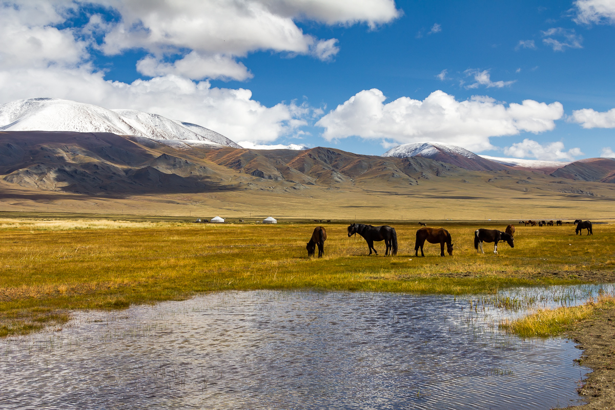 Tolboo meer Mongolie