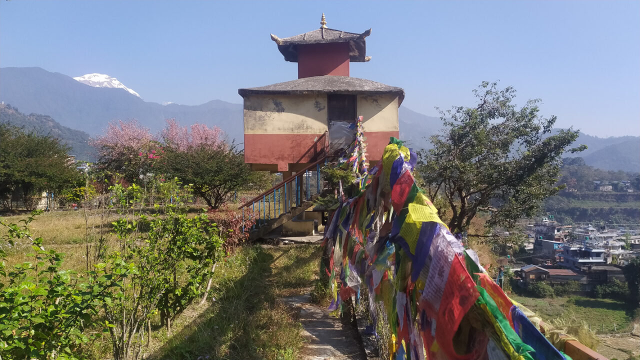 Pema Tsal Sakya Monastic Institute
