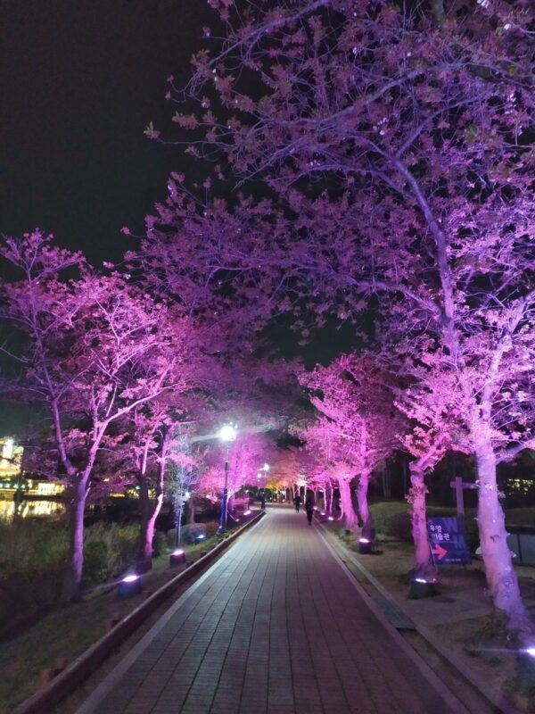 Stadspark Gyeongju