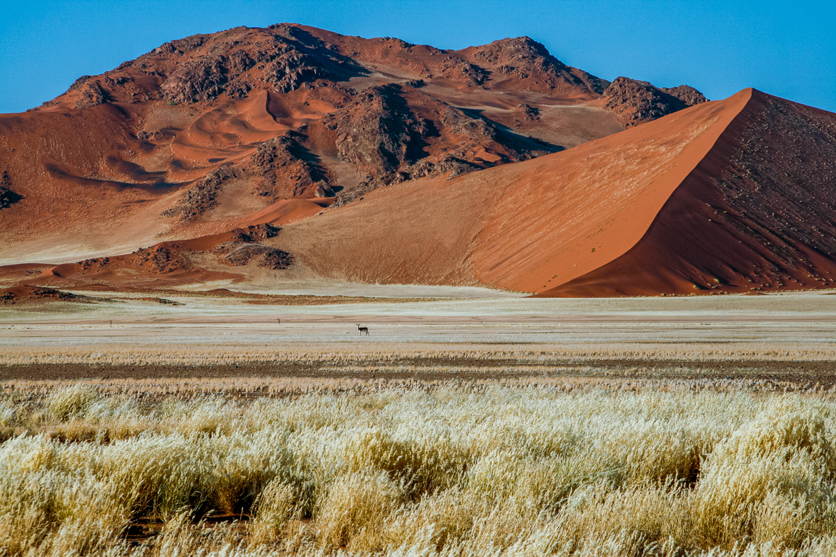 Namib Naukluft National Park