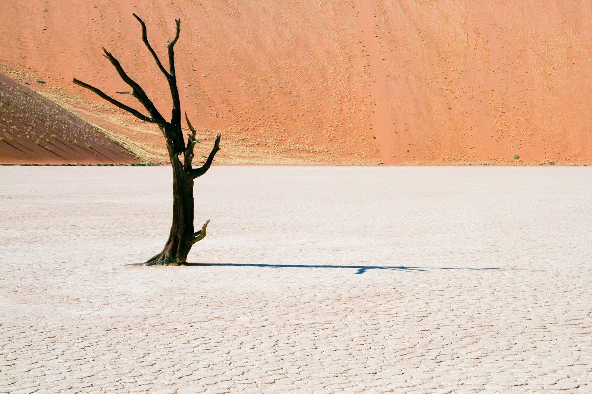 Deadvlei