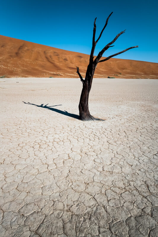 Deadvlei