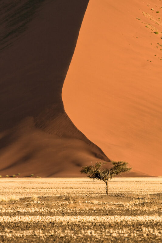 Sossusvlei