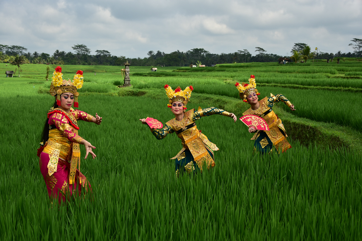 Legong danseressen in rijstveld, Bali