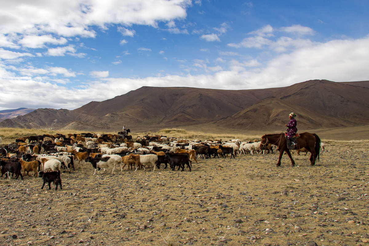 nomaden mongolie