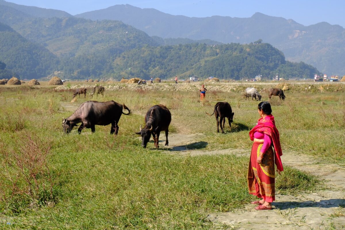 Omgeving Pokhara