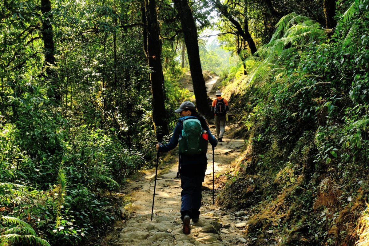 Petra, Annapurna trekking