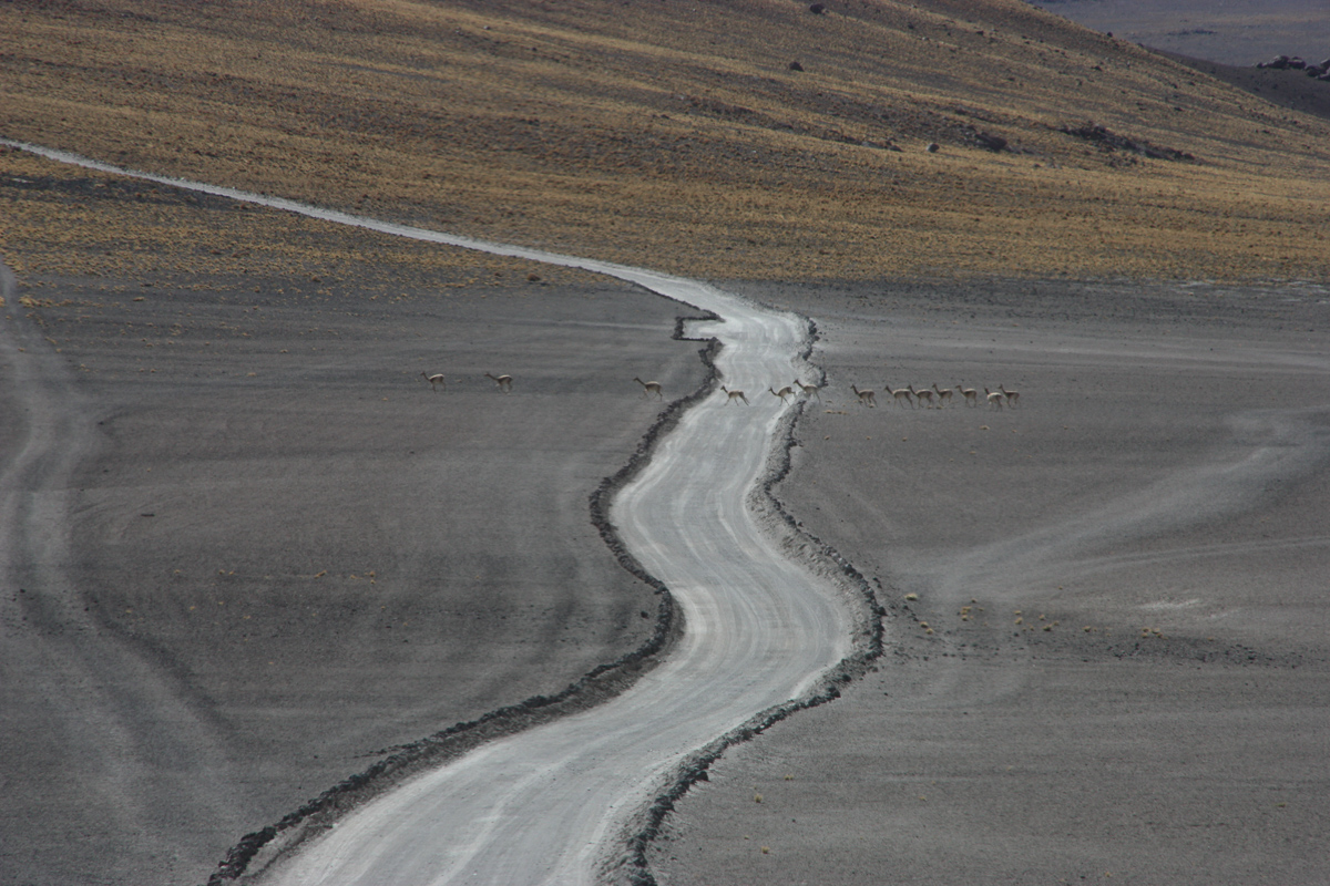 De weg naar Laguna Miscanti