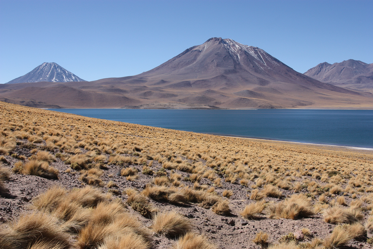 Laguna Miscanti, Chili