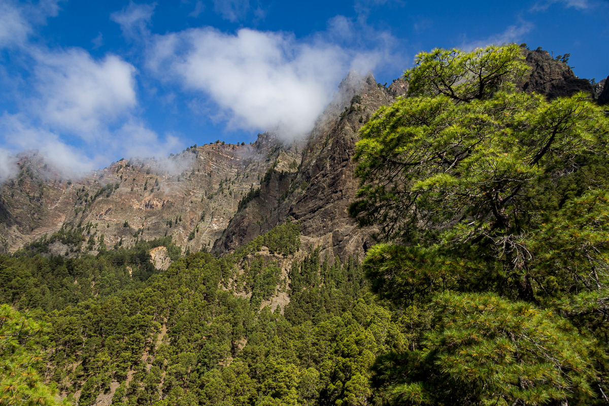 Nationaal Park Caldera de Taburiente