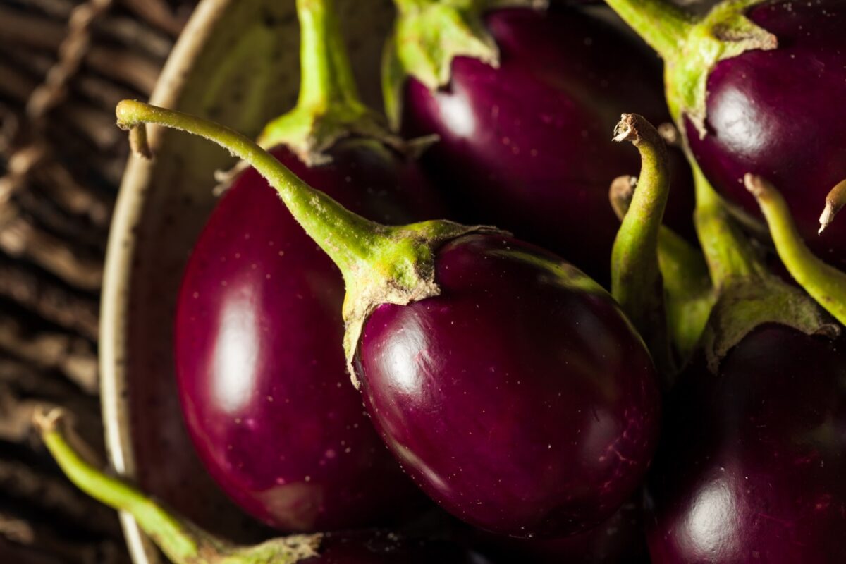 Indiase brinjal-aubergine