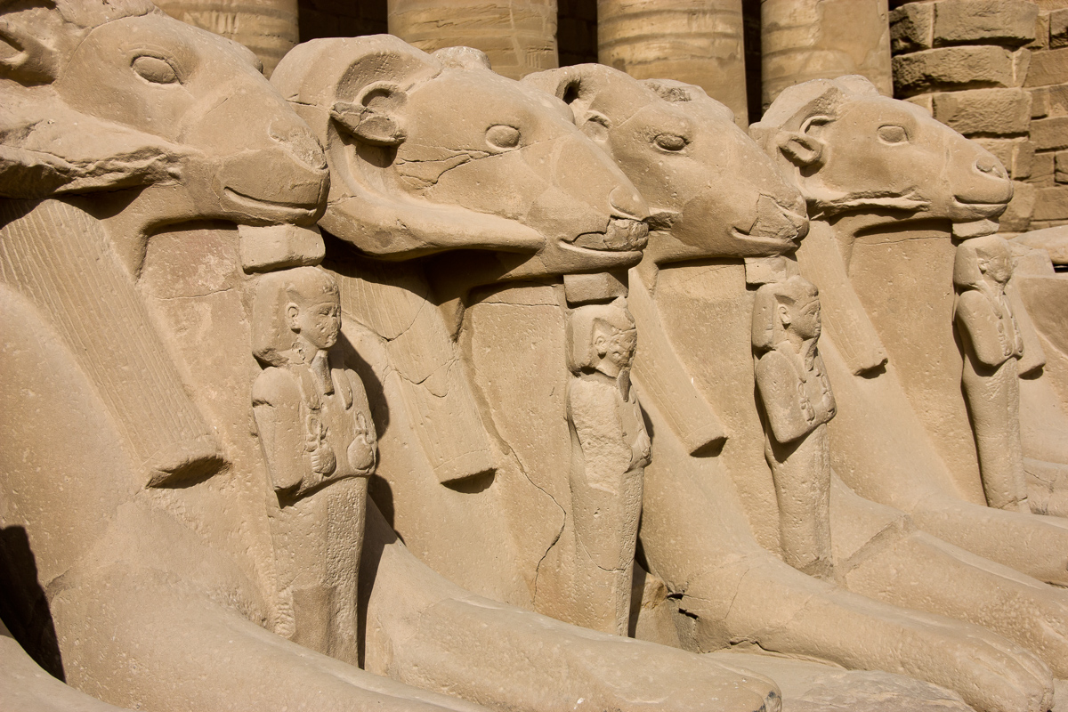 De laan van de sfinxen, karnak tempels egypte