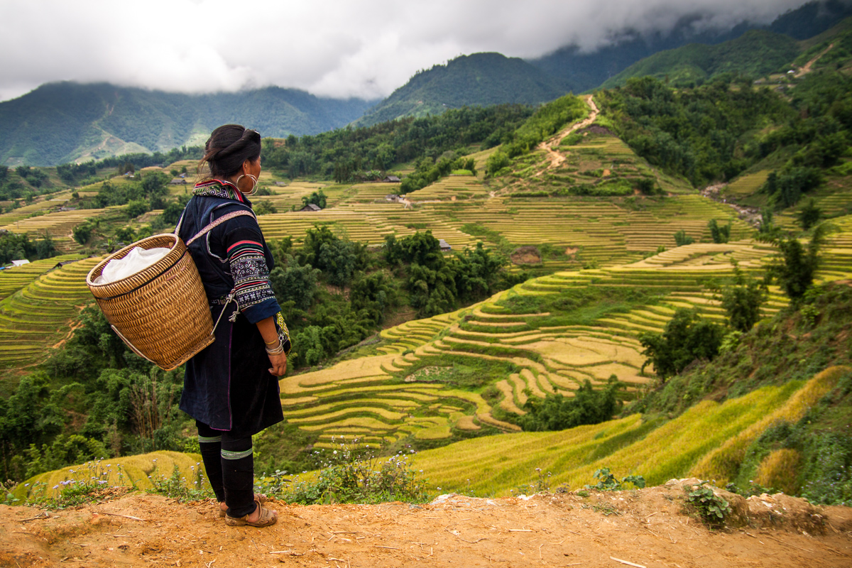 Noord-Vietnam
