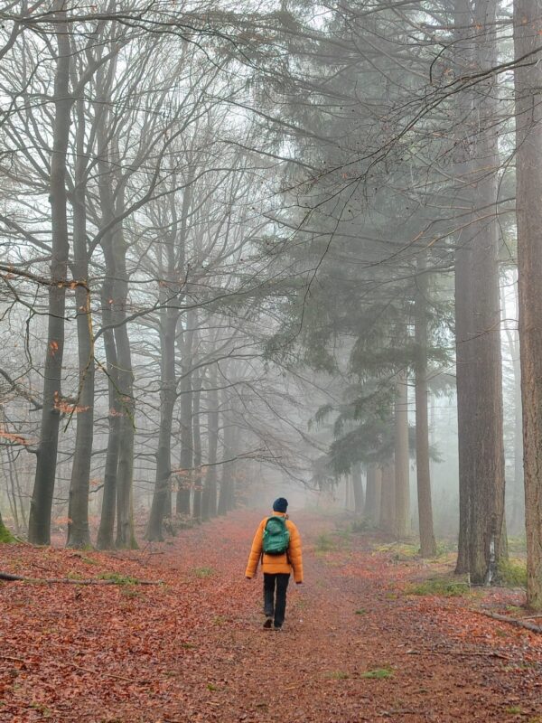Wandelroute Wolvenspoor Drenthe