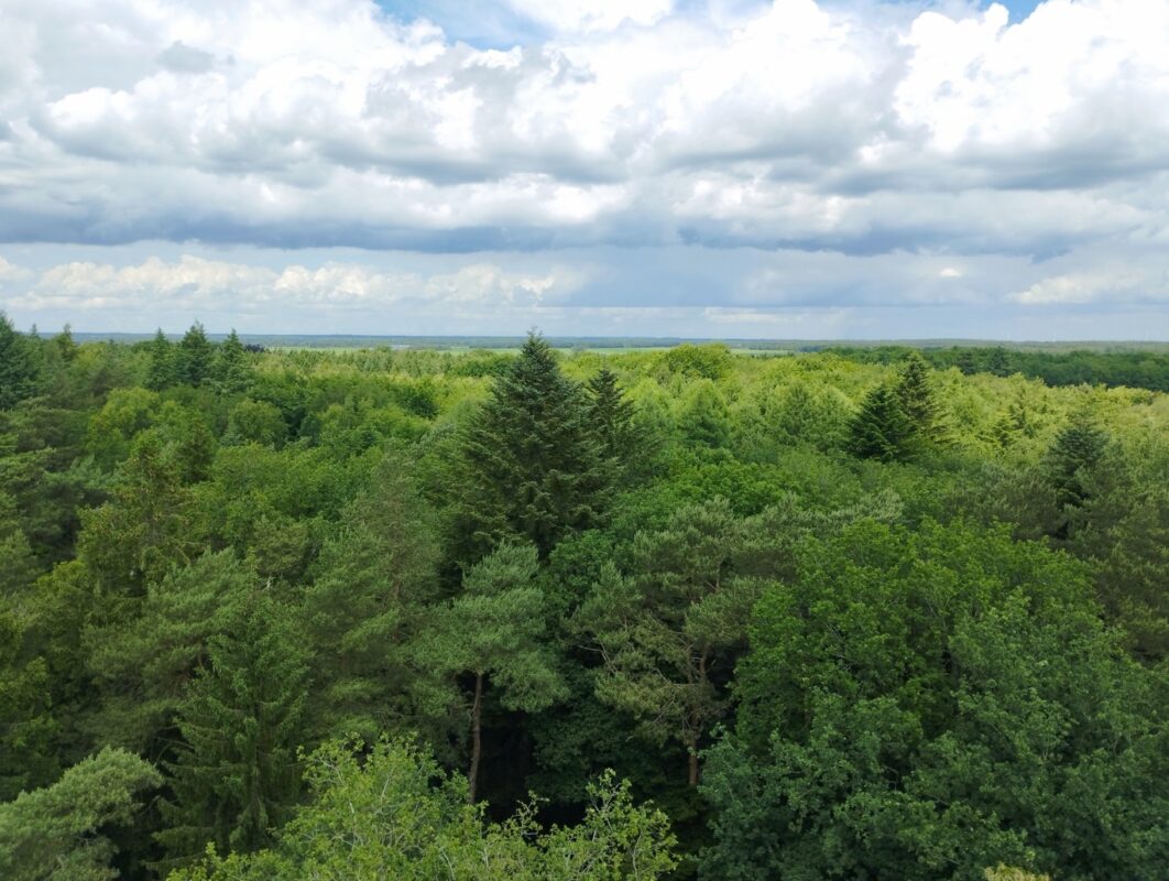Wandelroute Schapenpark Drenthe