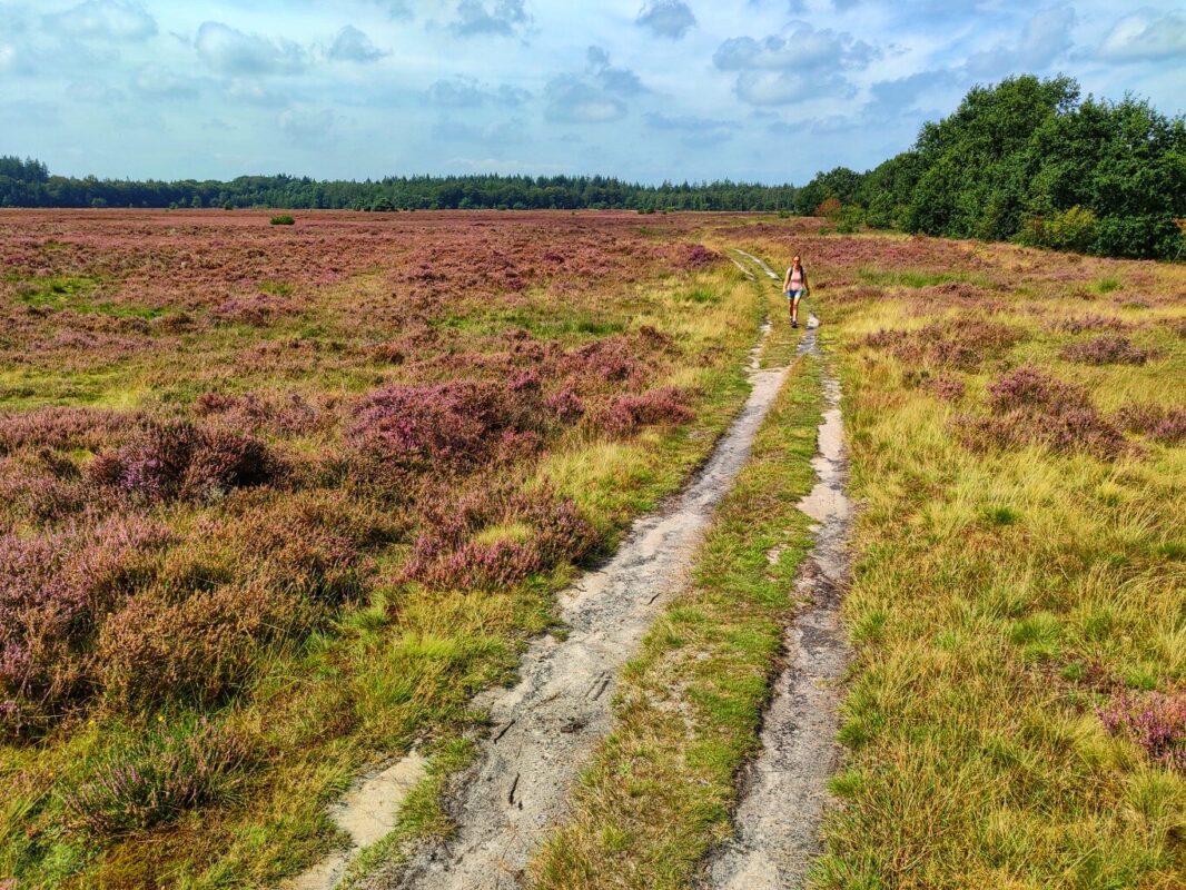 Drenthepad Drenthe