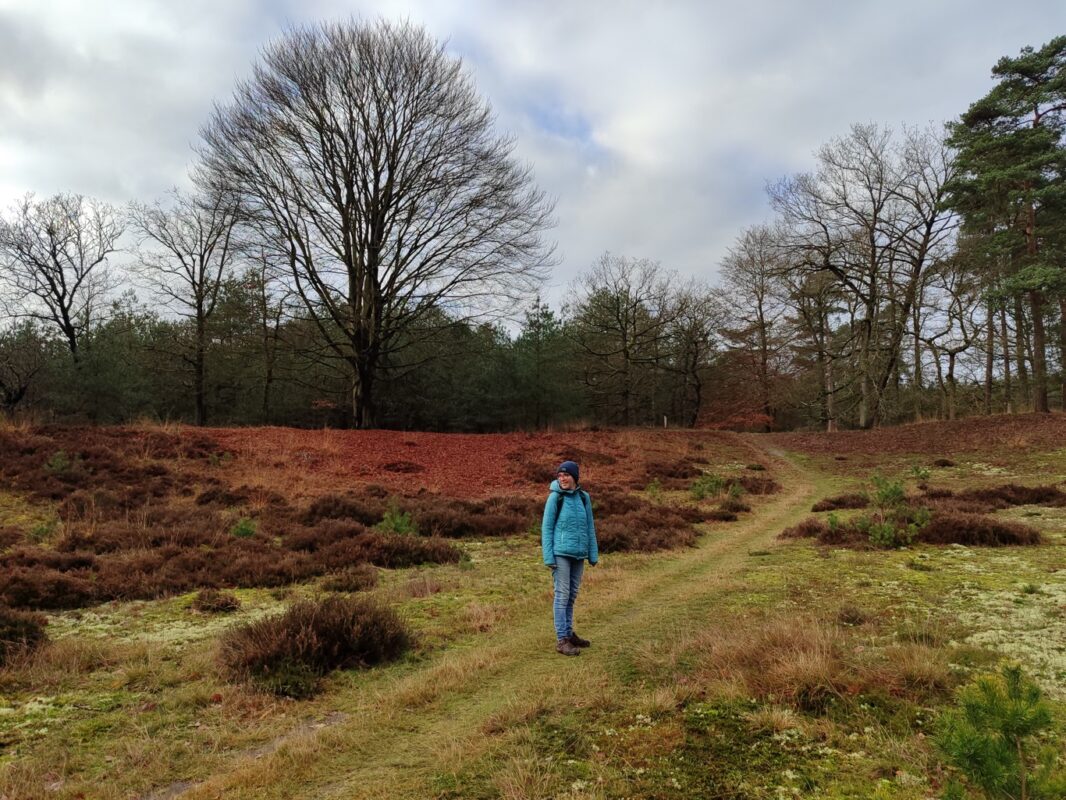 Wandelroute Schapenpark Drenthe