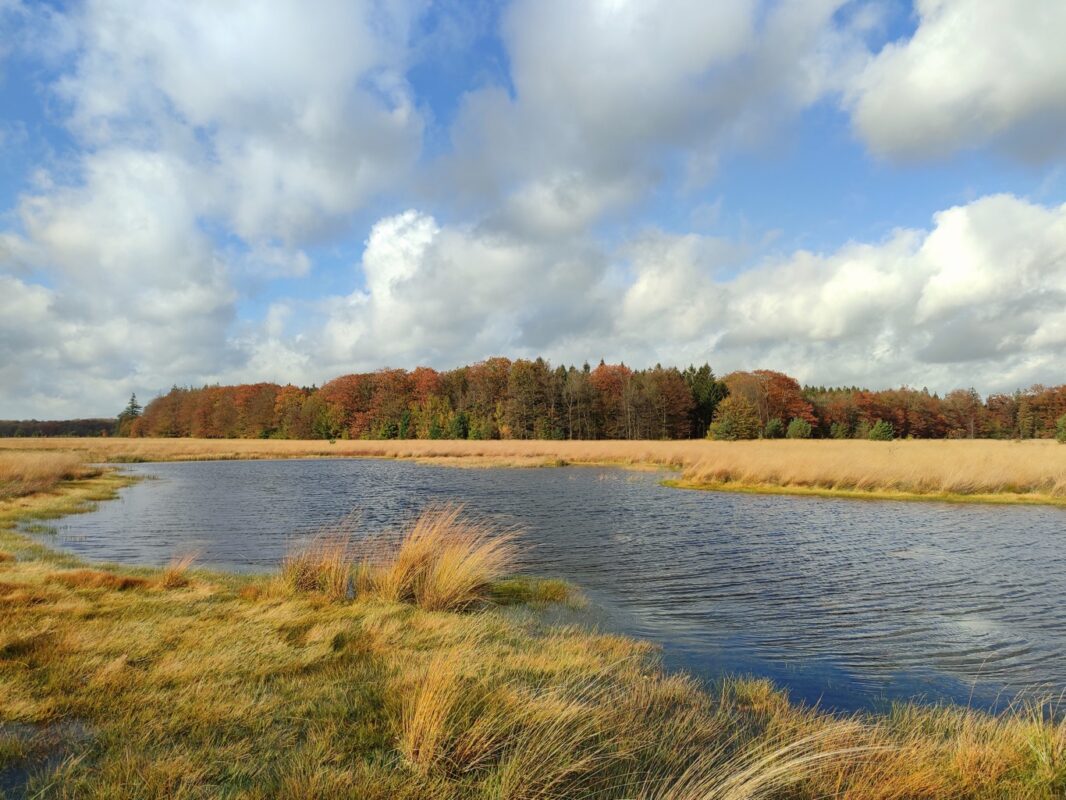 Wandelroutes Sprokkelspoor Drenthe