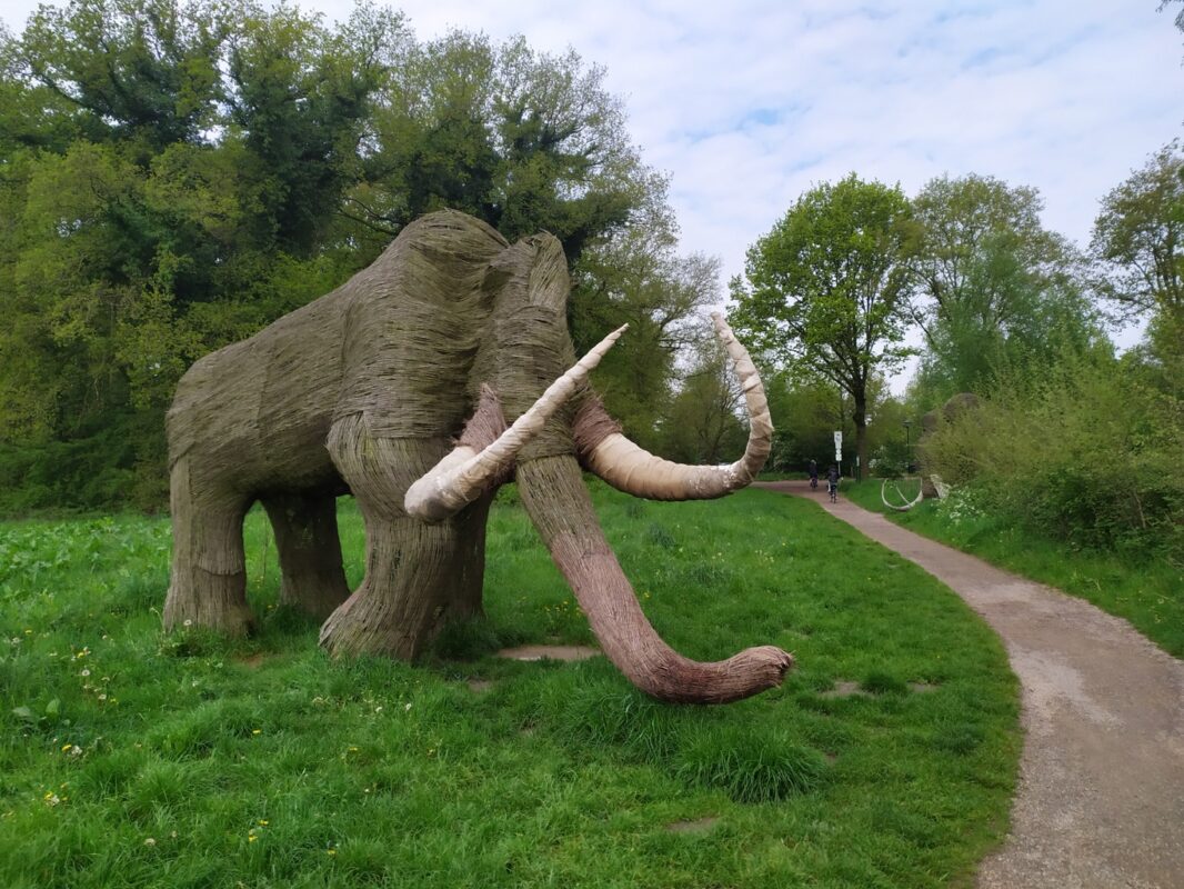 Sporen uit de IJstijd: een mammoetbeeld in Borger. Drenthe feitjes