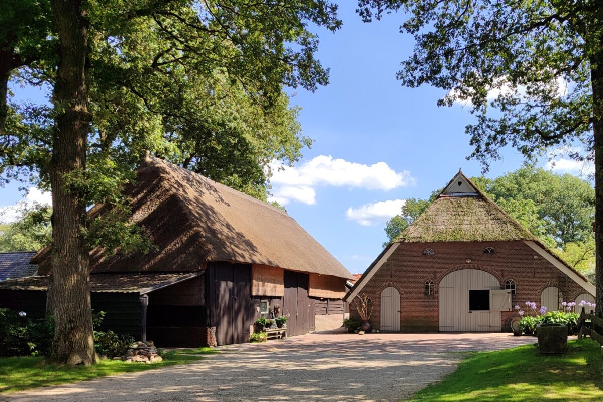 Drenthe feitjes Boerderijen in Gees
