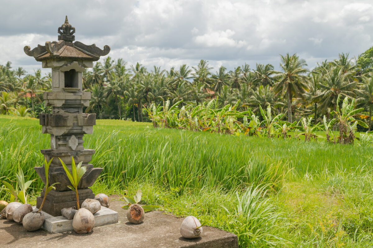 Mat fast boat naar Bali