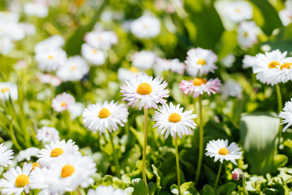 positieve affirmaties