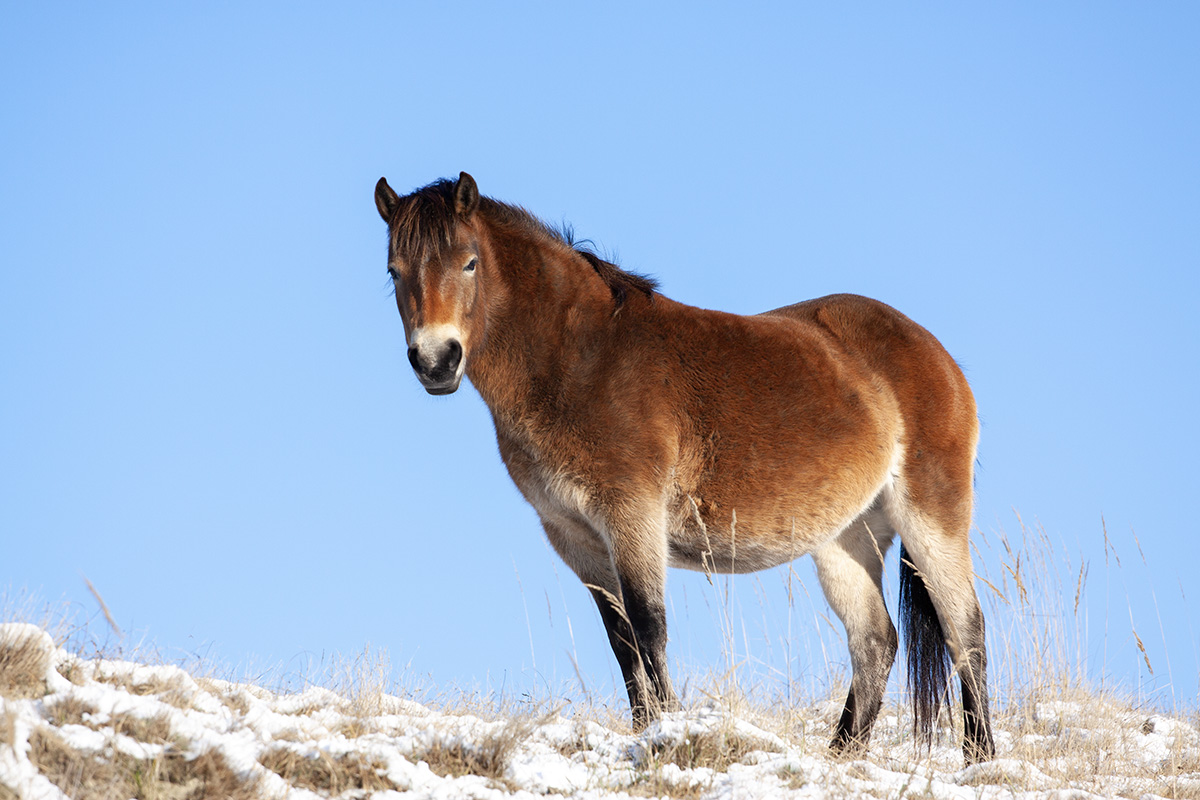 wandelen zonder haast