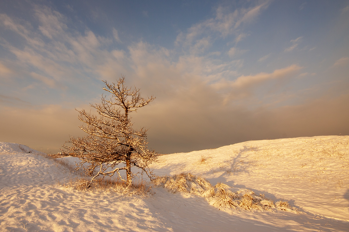 wandelen zonder haast