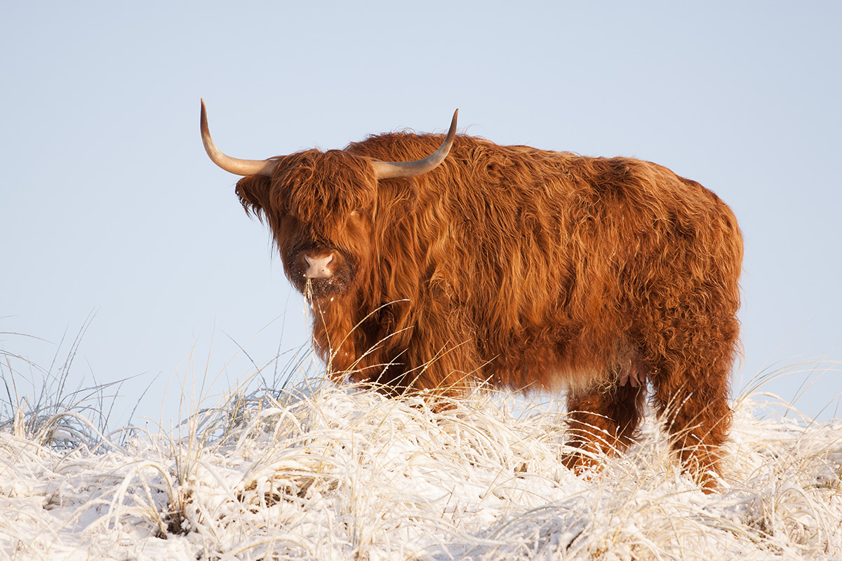 wandelen zonder haast